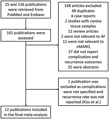 Atrial Fibrillation Recurrence and Peri-Procedural Complication Rates in nMARQ vs. Conventional Ablation Techniques: A Systematic Review and Meta-Analysis